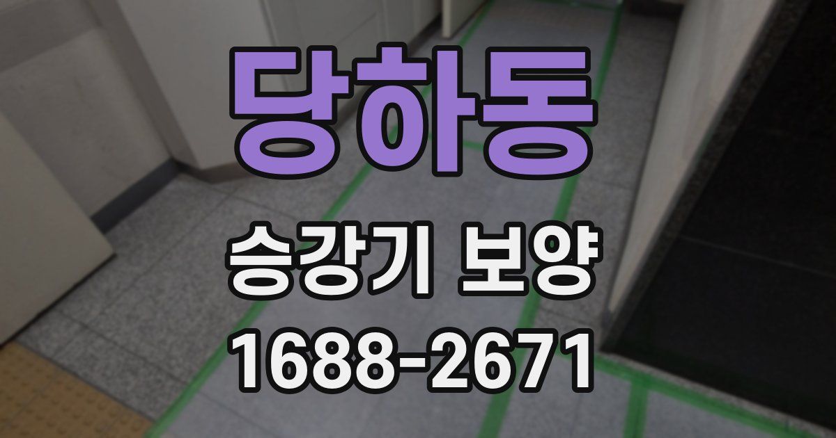 당하동 승강기 보양