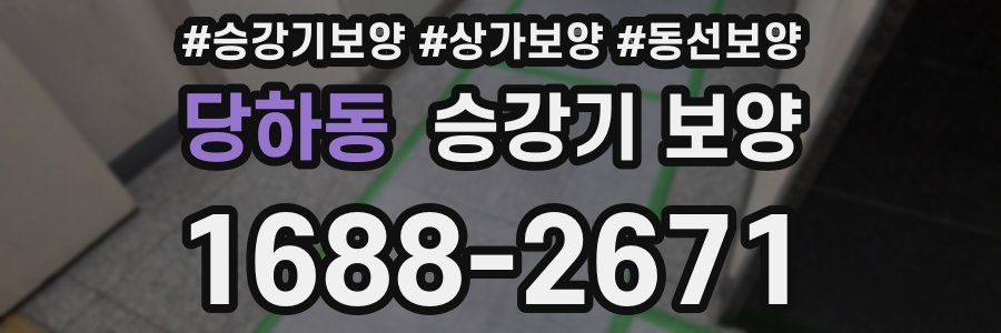 당하동 승강기 보양