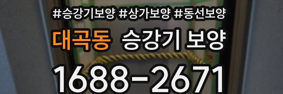 대곡동 승강기 보양