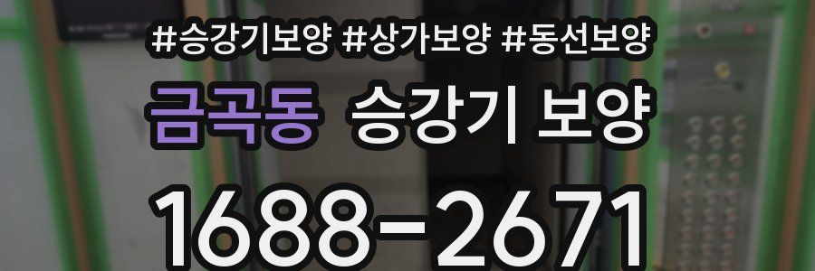 금곡동 승강기 보양