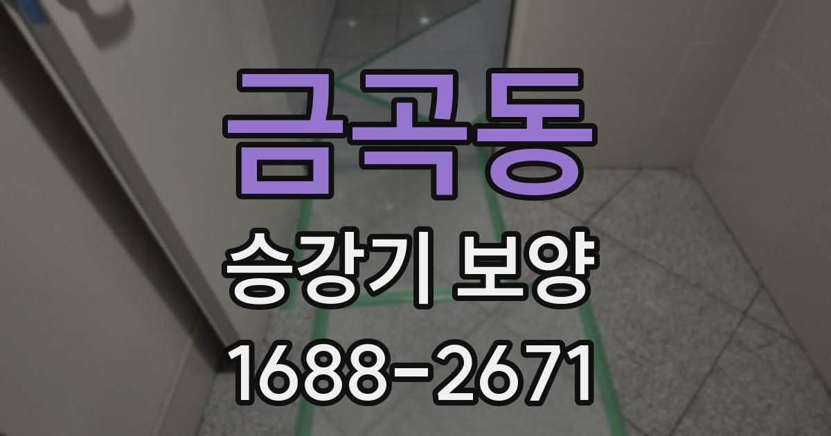금곡동 승강기 보양