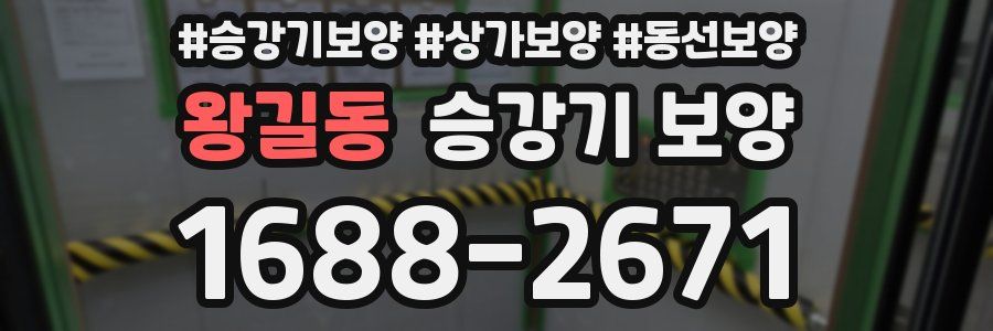 왕길동 승강기 보양