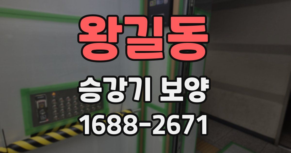왕길동 승강기 보양