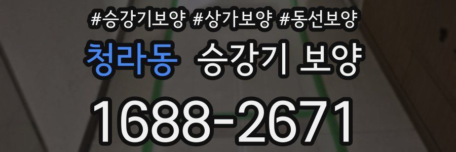 청라동 승강기 보양