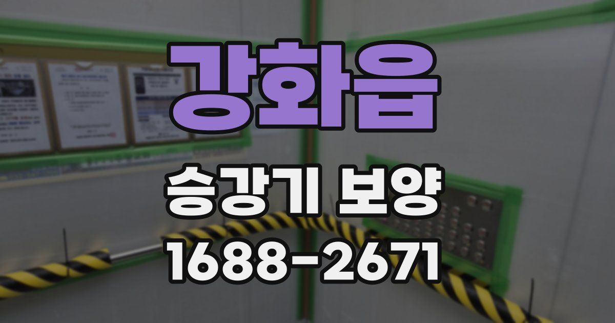 강화읍 승강기 보양