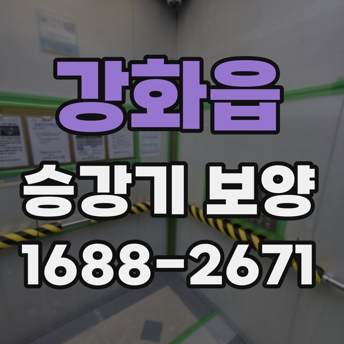 강화읍 승강기 보양