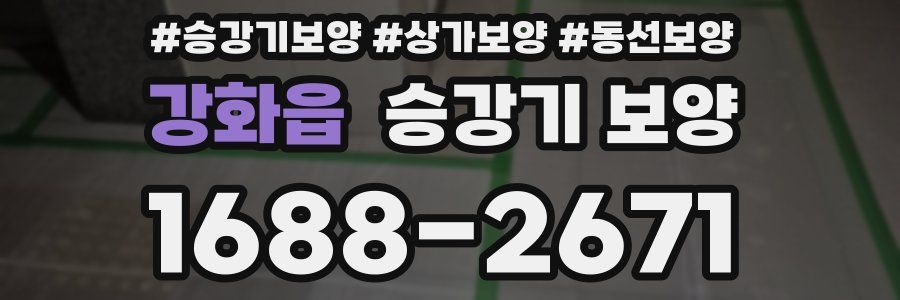 강화읍 승강기 보양
