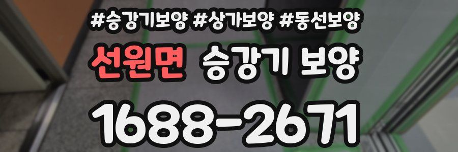 선원면 승강기 보양