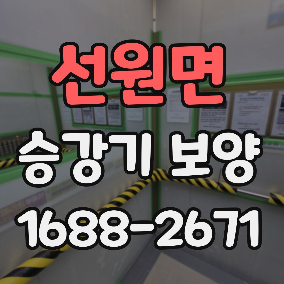 선원면 승강기 보양