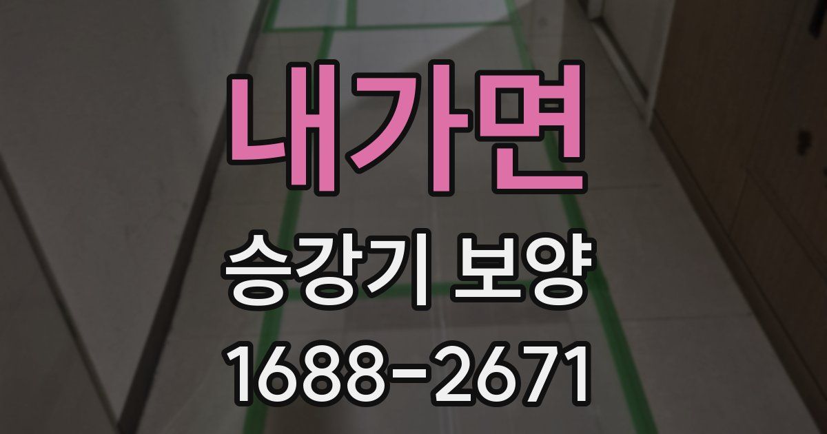 내가면 승강기 보양