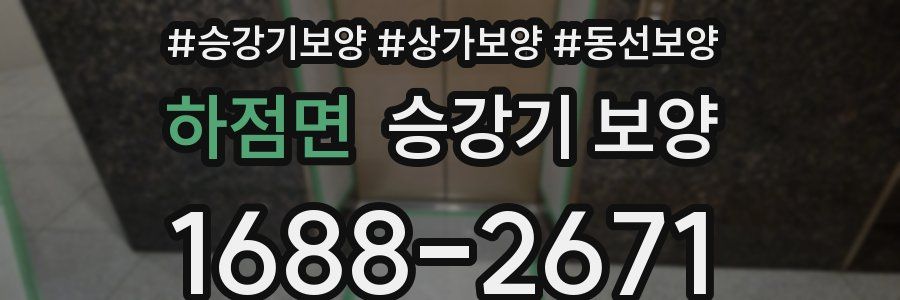 하점면 승강기 보양