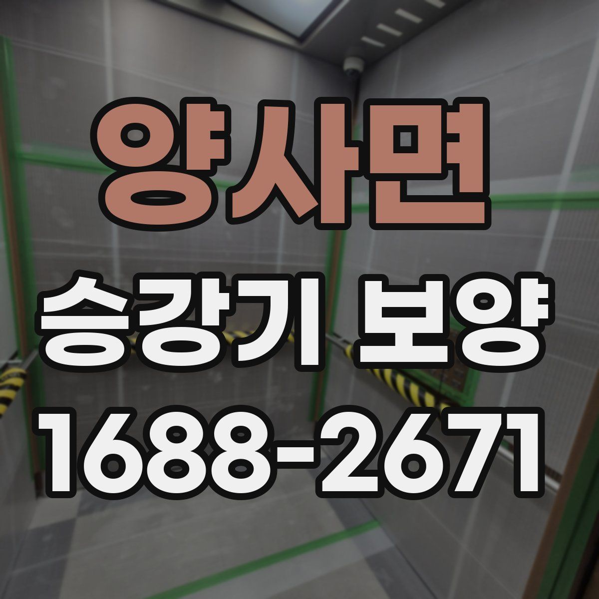 양사면 승강기 보양