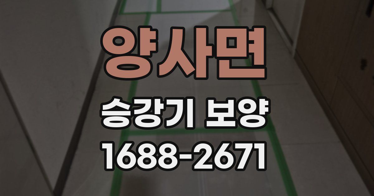 양사면 승강기 보양