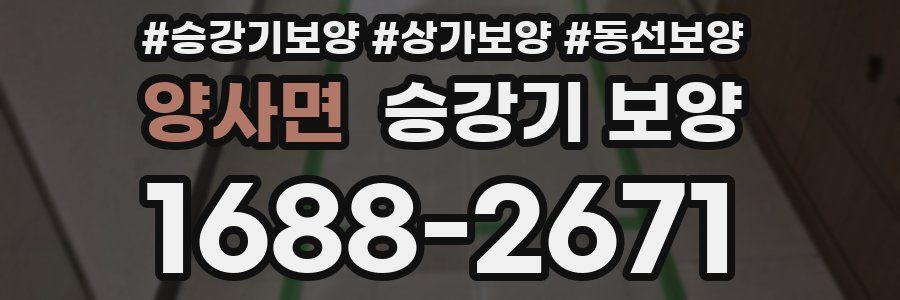 양사면 승강기 보양