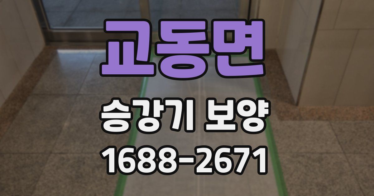 교동면 승강기 보양