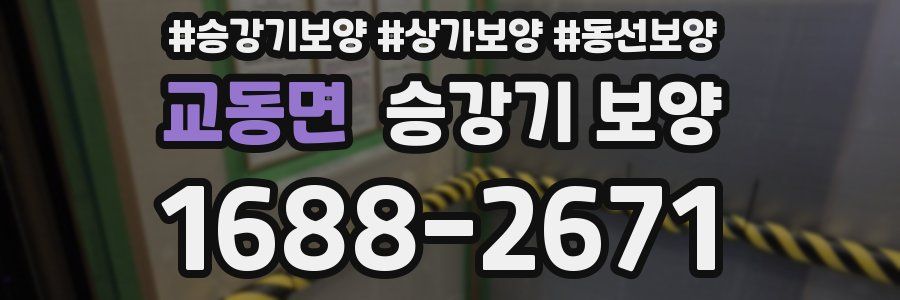 교동면 승강기 보양