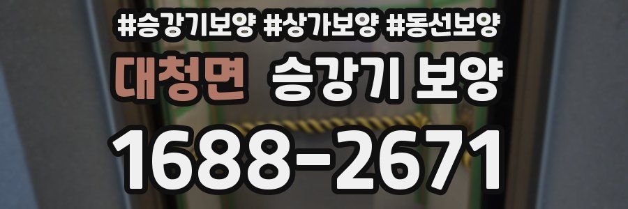 대청면 승강기 보양