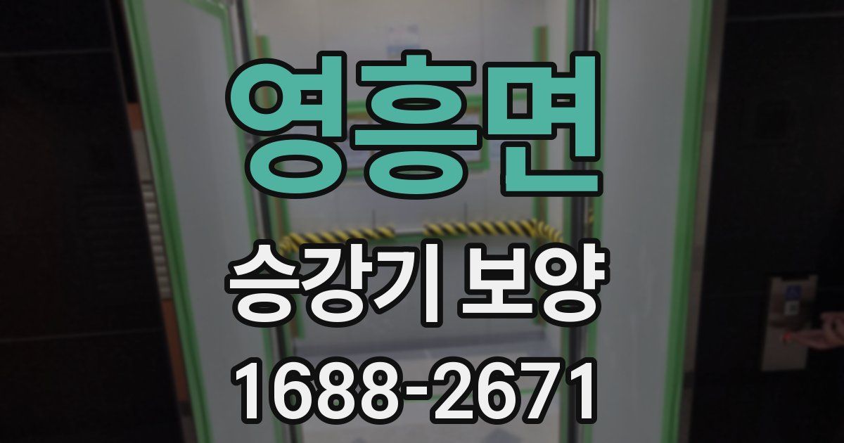 영흥면 승강기 보양