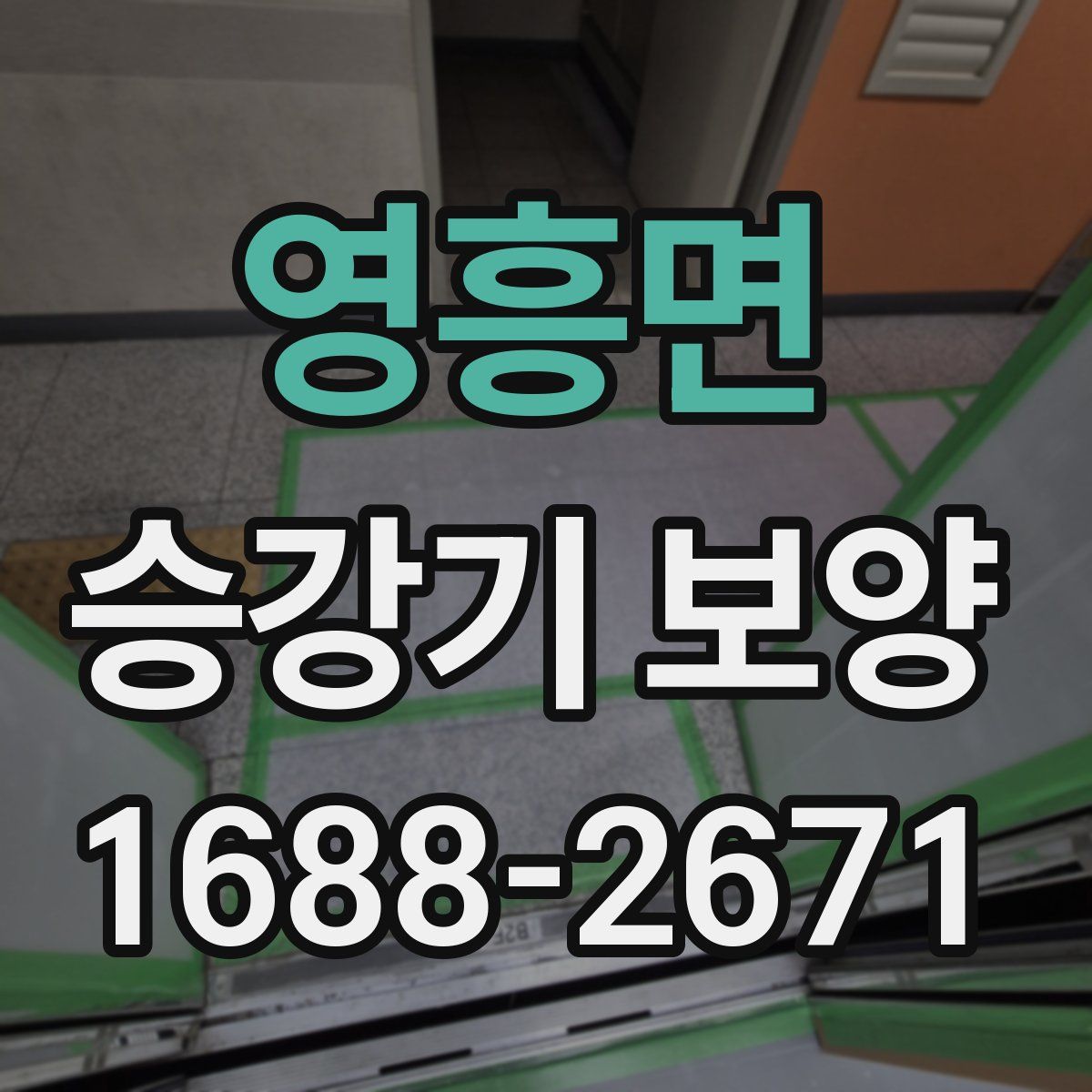 영흥면 승강기 보양