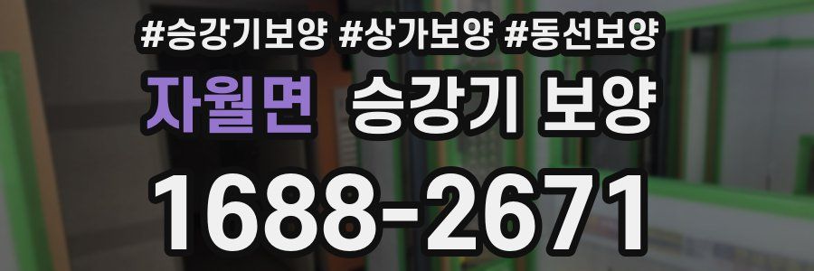 자월면 승강기 보양