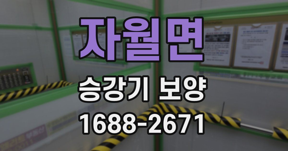 자월면 승강기 보양