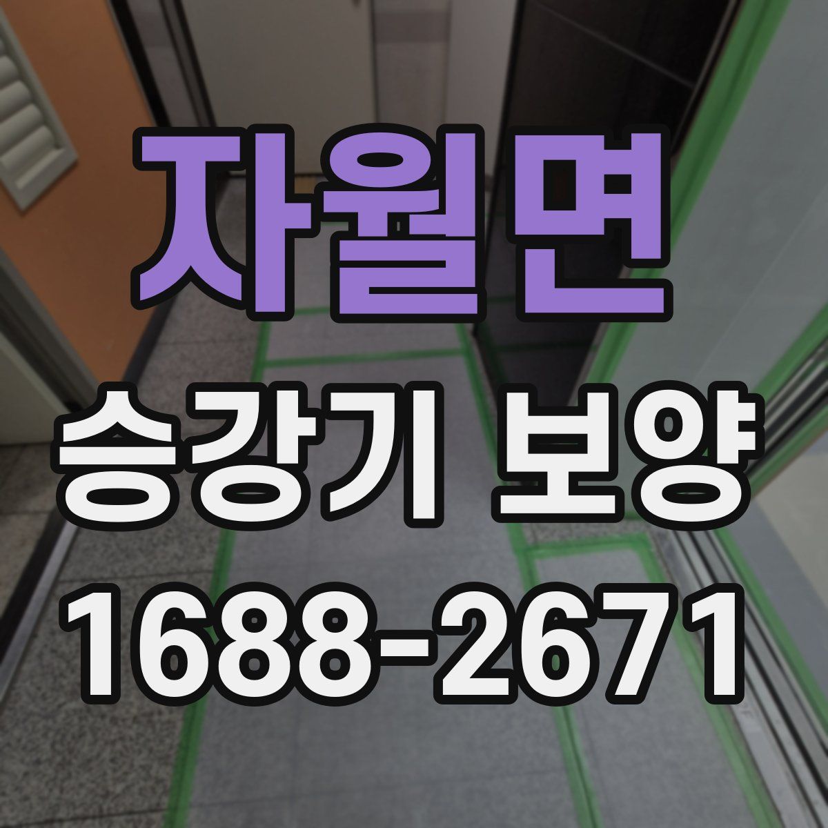 자월면 승강기 보양