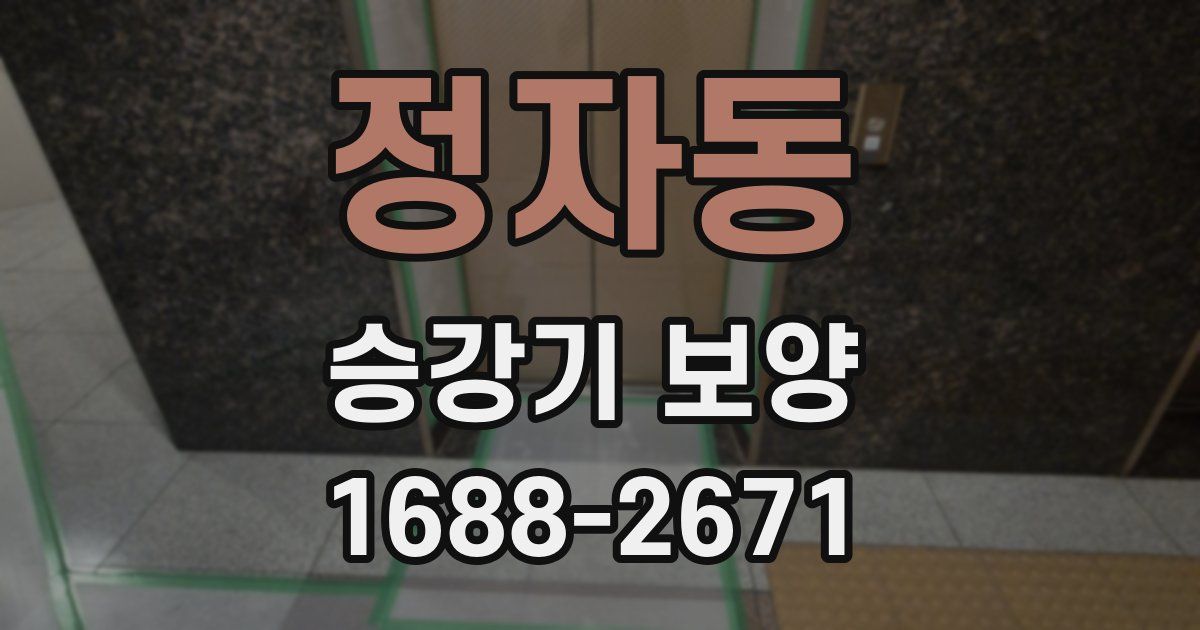 정자동 승강기 보양