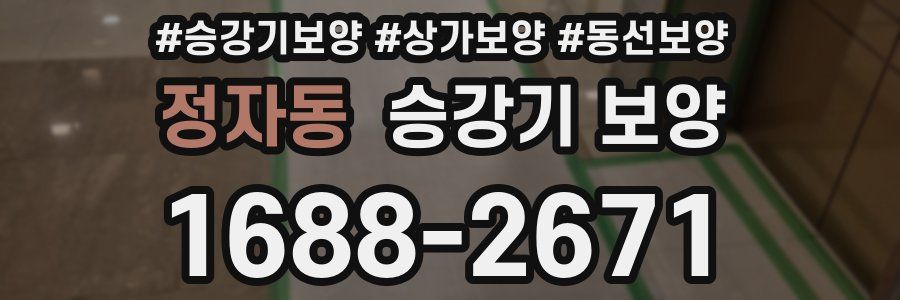 정자동 승강기 보양
