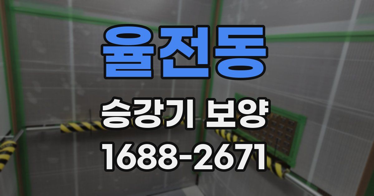 율전동 승강기 보양