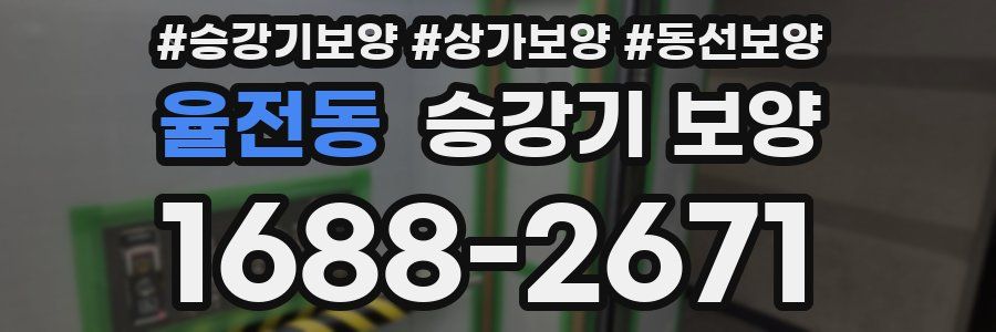 율전동 승강기 보양