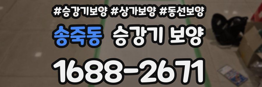송죽동 승강기 보양