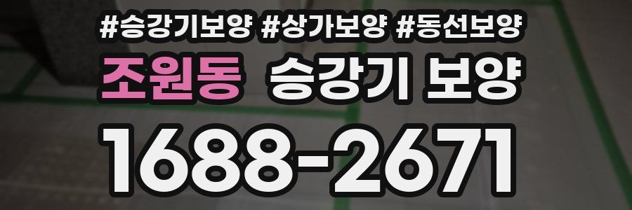 조원동 승강기 보양