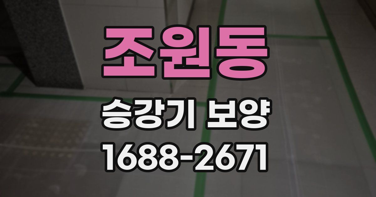 조원동 승강기 보양