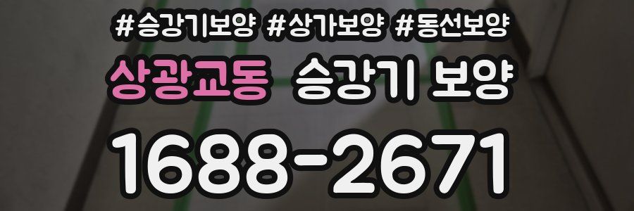 상광교동 승강기 보양