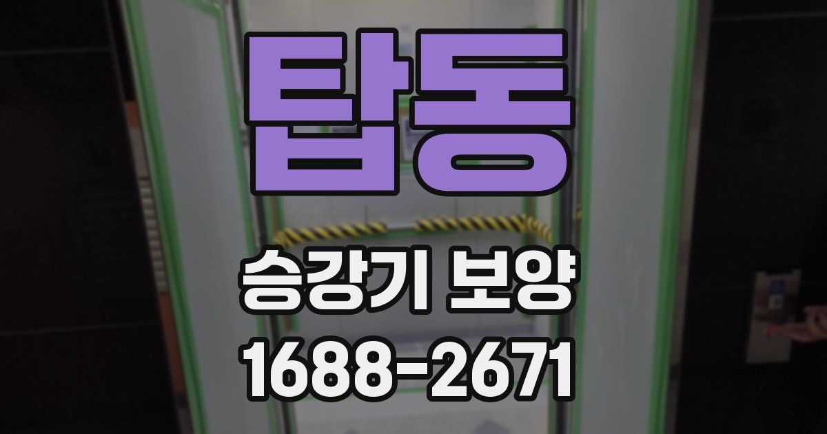탑동 승강기 보양