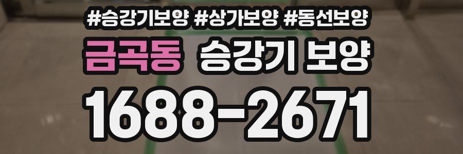 금곡동 승강기 보양