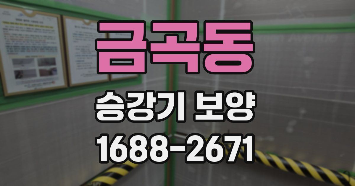 금곡동 승강기 보양