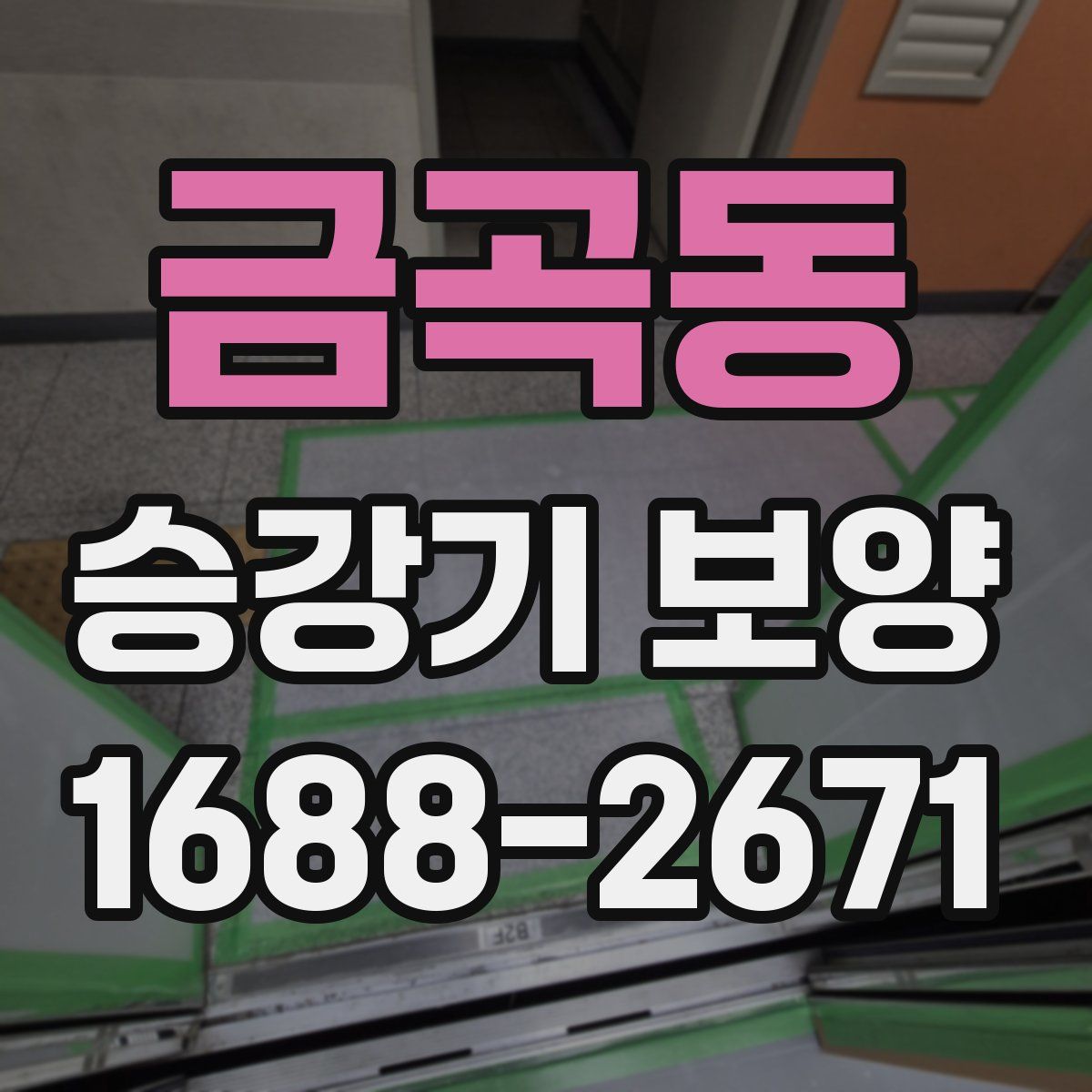 금곡동 승강기 보양