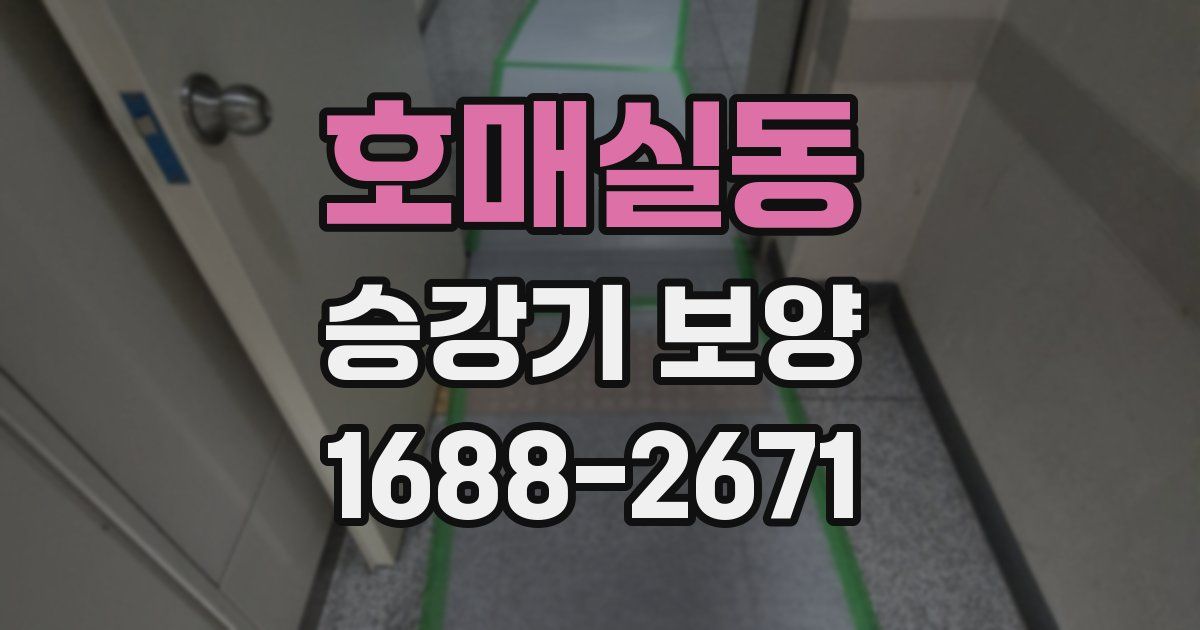 호매실동 승강기 보양