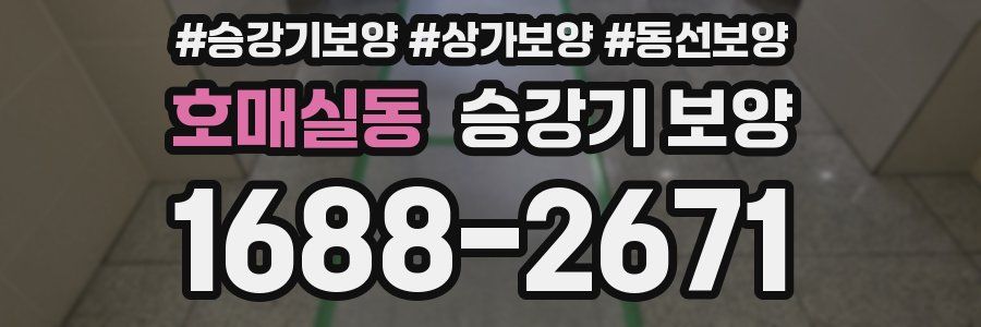 호매실동 승강기 보양