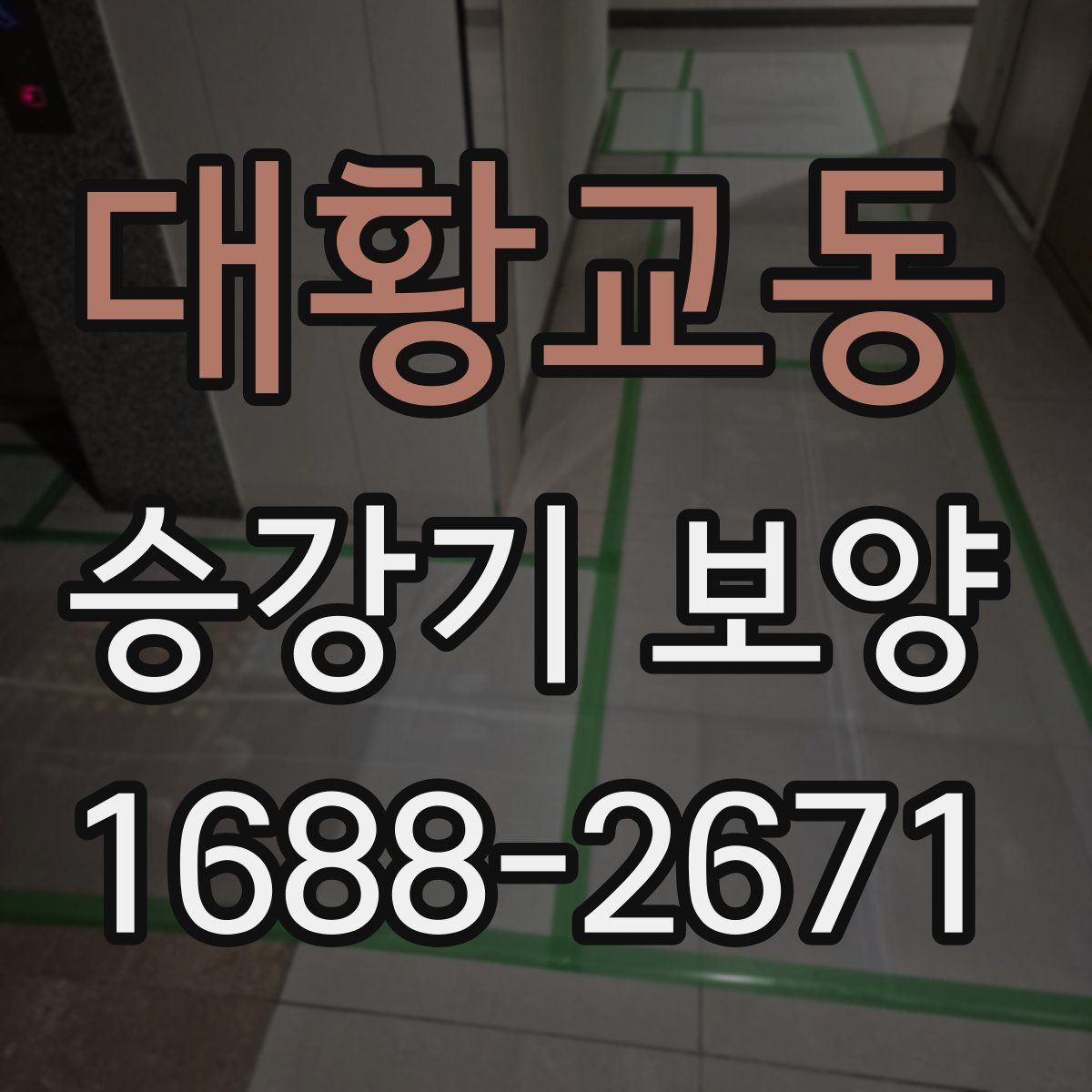 대황교동 승강기 보양