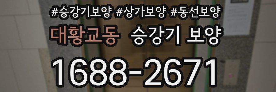 대황교동 승강기 보양