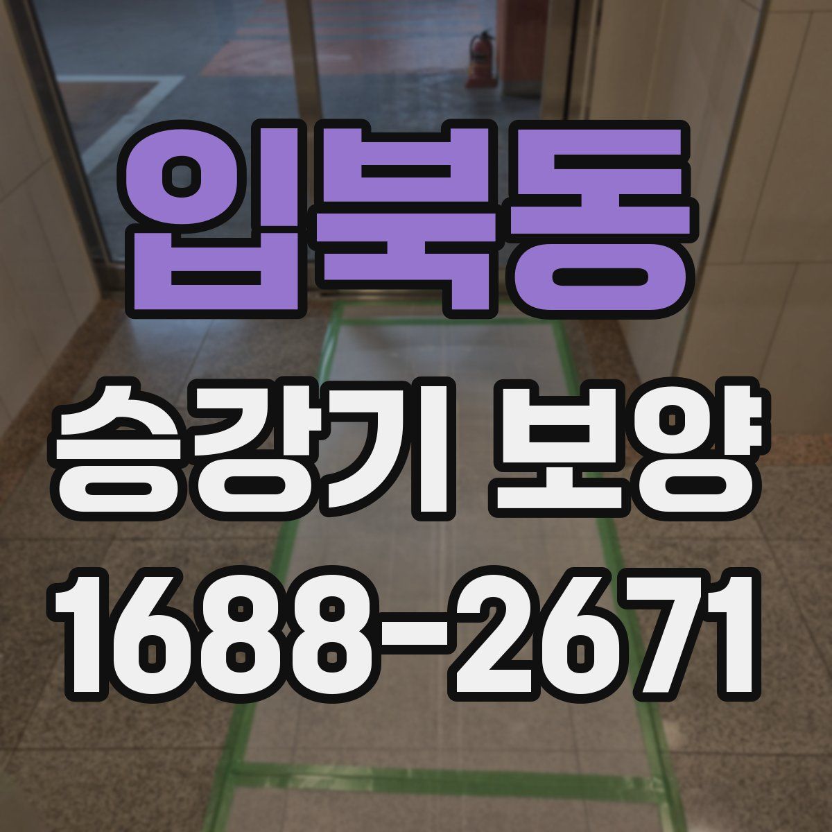 입북동 승강기 보양