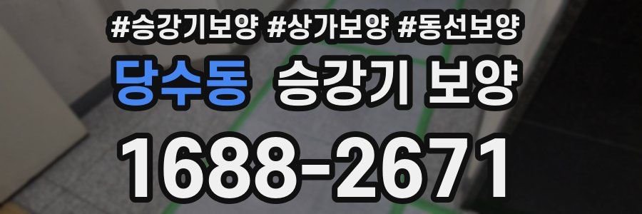 당수동 승강기 보양