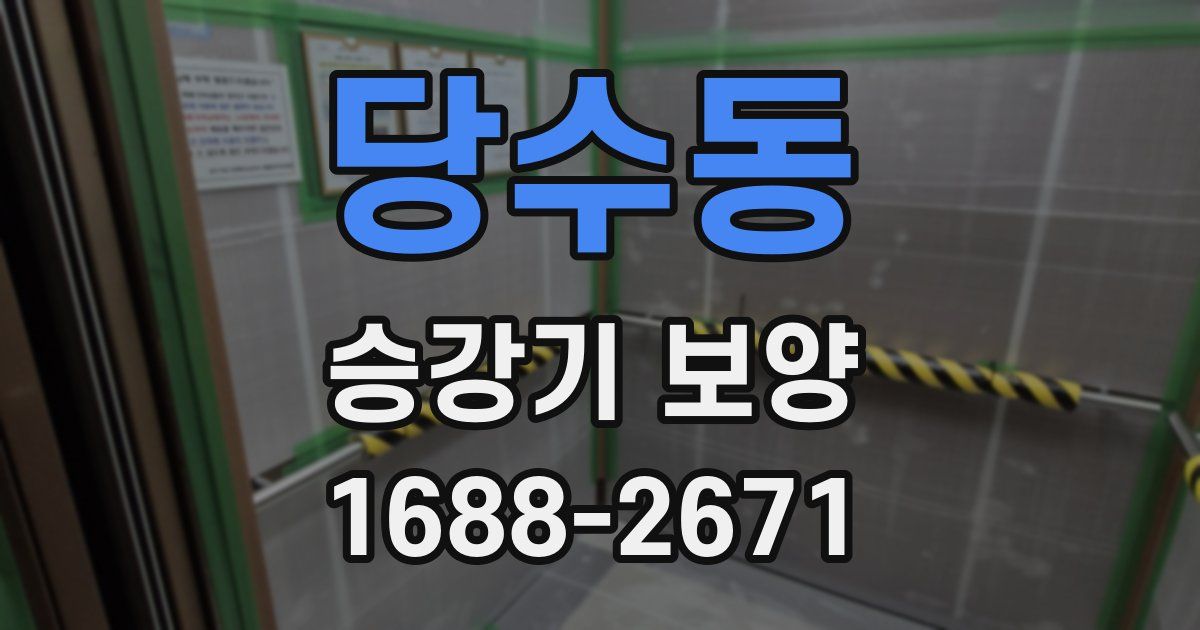 당수동 승강기 보양