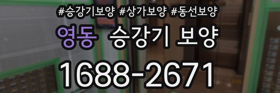 영동 승강기 보양
