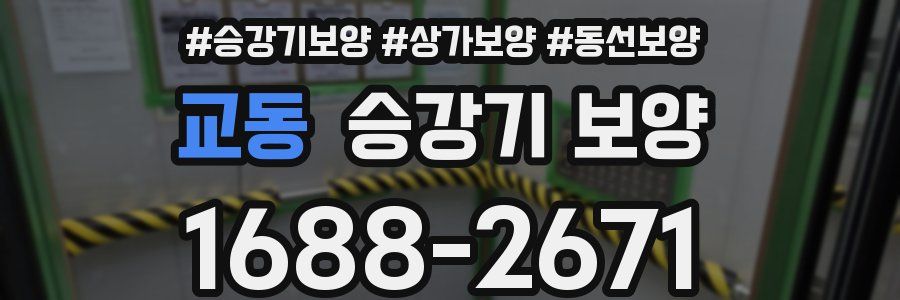 교동 승강기 보양