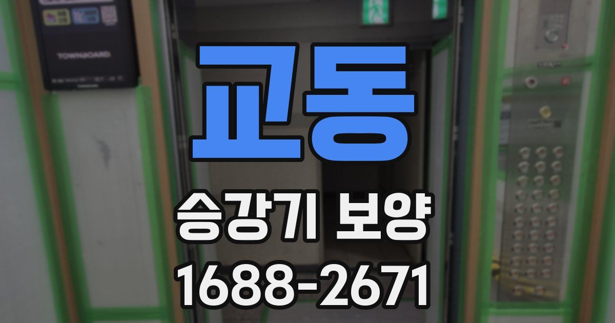교동 승강기 보양