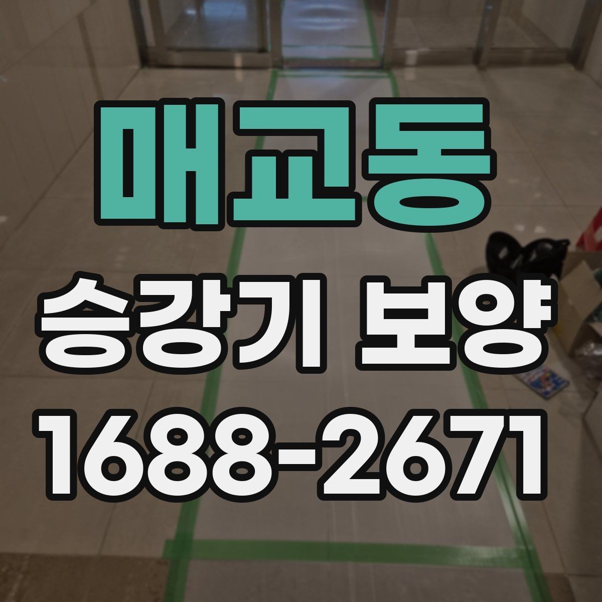매교동 승강기 보양 전 현장 점검 항목 모아보기
