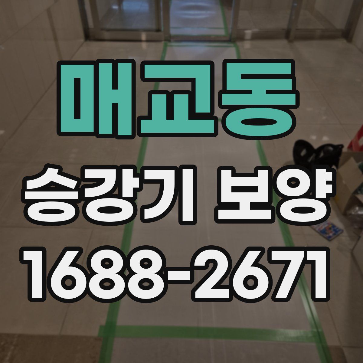 매교동 승강기 보양